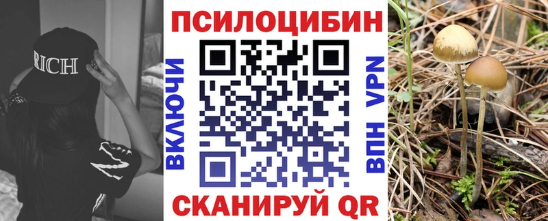 цены наркотик Нерюнгри Псилоцибиновые грибы Psilocybe
